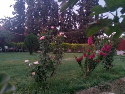 https://www.immotaroudant.com/bien/villa-avec-piscine/