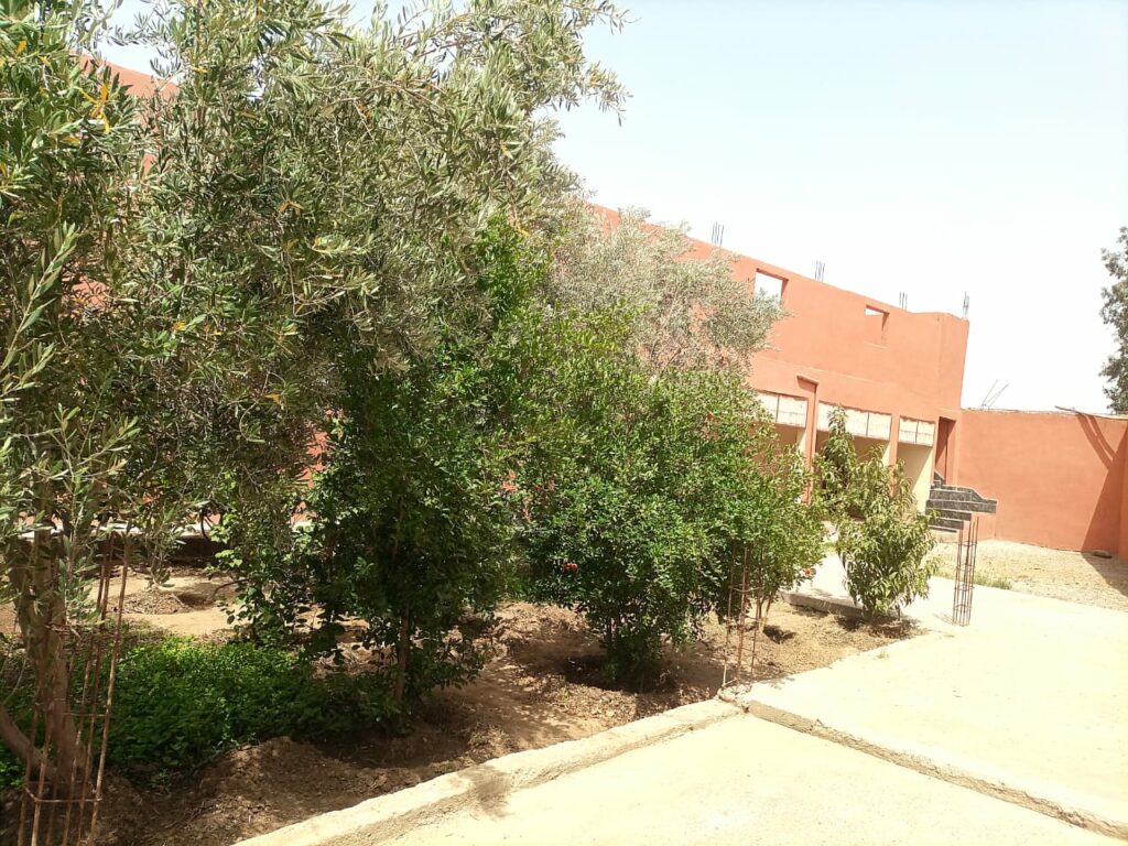 Maison avec jardin — photo 1