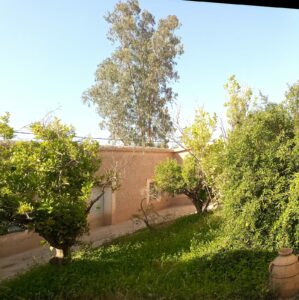 https://www.immotaroudant.com/bien/riad-a-restaure/