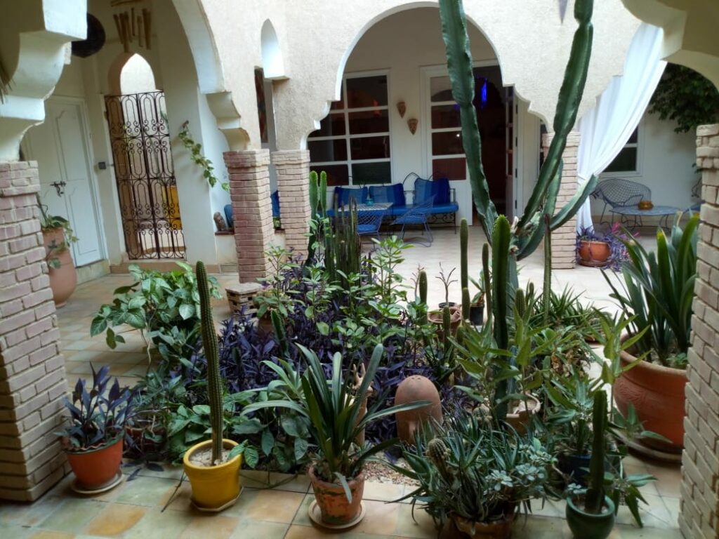 Riad du jardin — photo 3