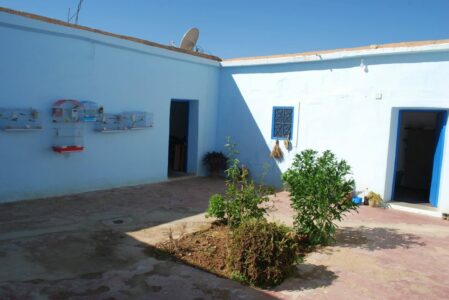 https://www.immotaroudant.com/bien/maison-des-guitares-hansa/