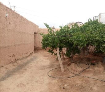 https://www.immotaroudant.com/bien/13715/