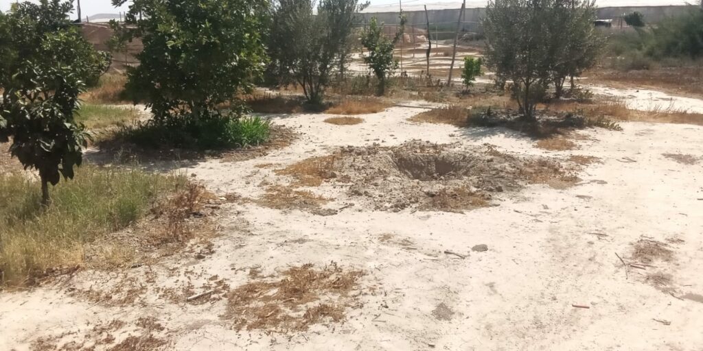 Maison avec grand jardin — photo 4