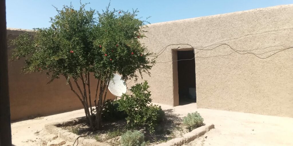 Maison avec grand jardin — photo 1