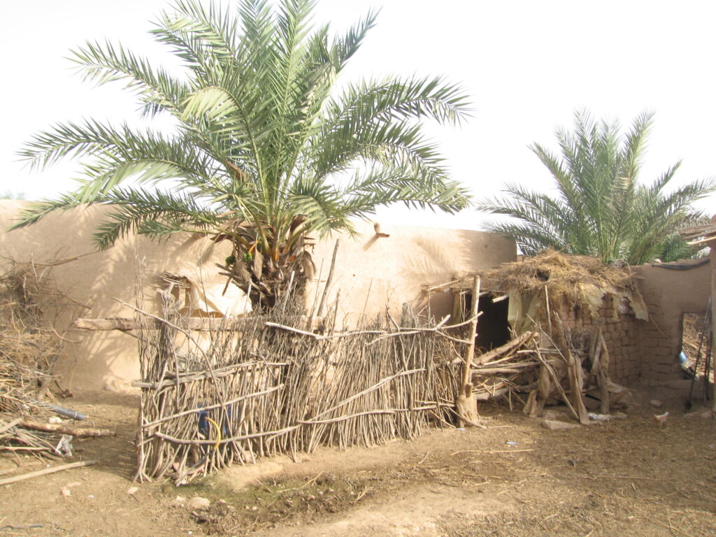 Maison traditionnelle avec jardin près de Taroudant — photo 3