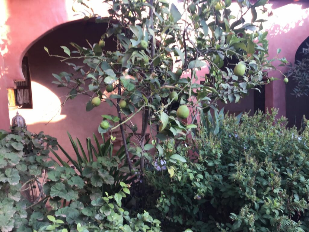 Riad avec piscine et Jardin. — photo 2