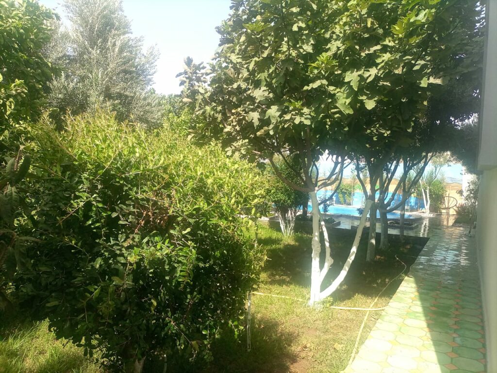 Villa avec piscine et jardin. — photo 2