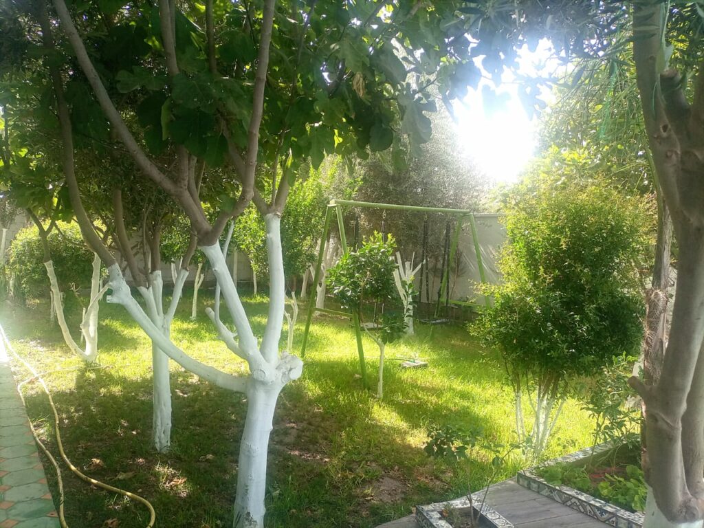 Villa avec piscine et jardin. — photo 4