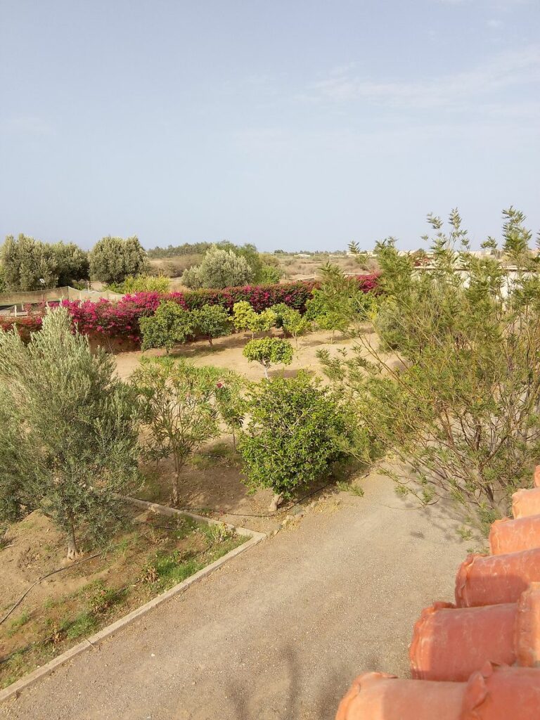 Riad du jardin — photo 5