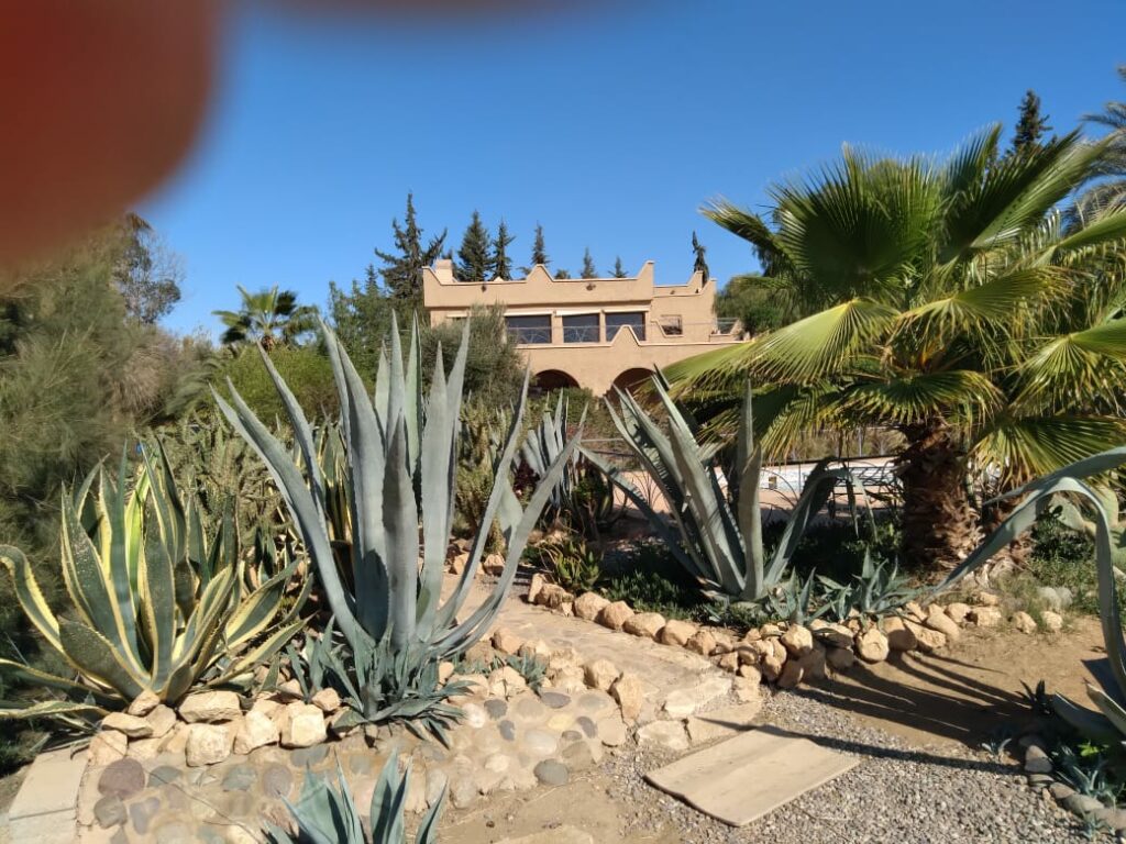 Riad de Rêve avec piscine — photo 5