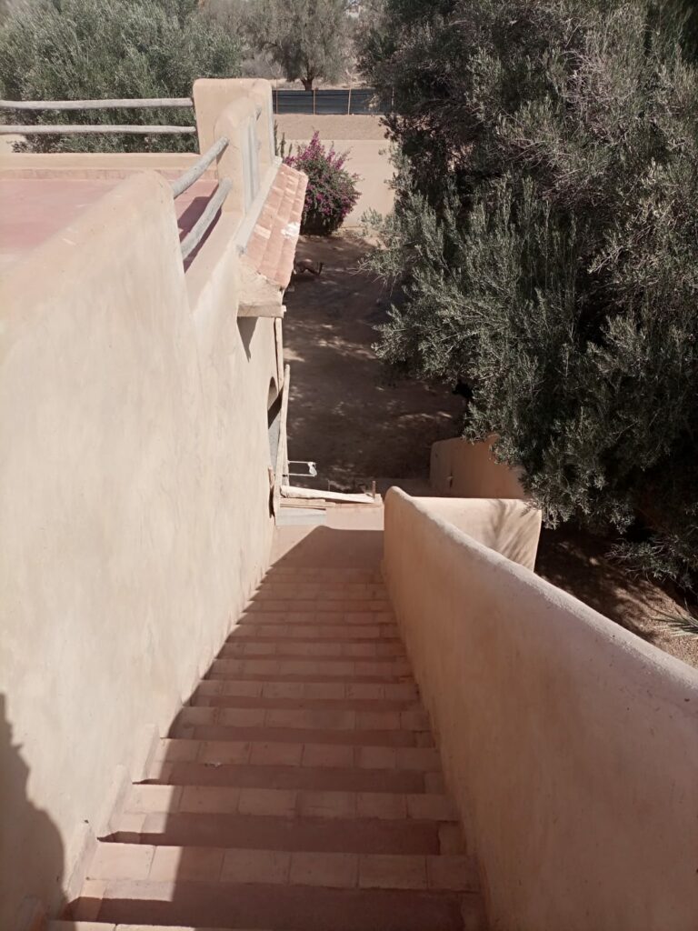 Riad du suites pour une Maison d’hôte. — photo 4