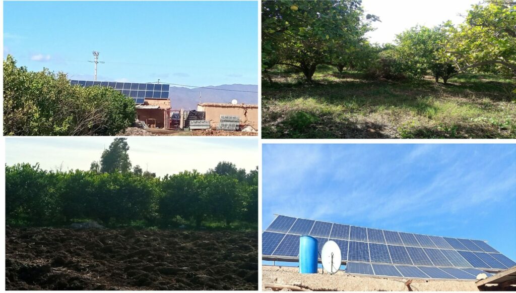 Ferme de Citrons — photo 1