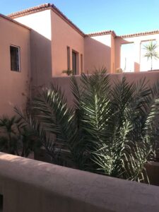 https://www.immotaroudant.com/bien/riad-de-huit-arcades/