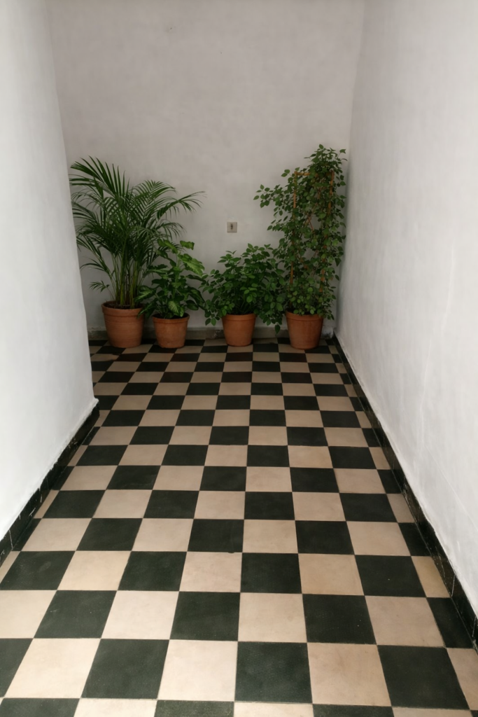 Riad Smailiya — photo 4