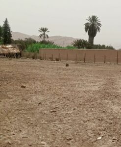 https://www.immotaroudant.com/bien/terrain-a-taroudant/