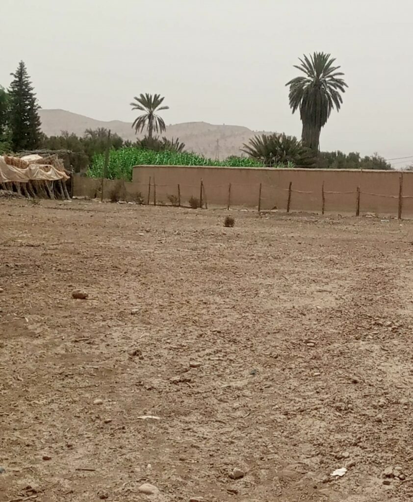 Terrain à Taroudant — photo 1