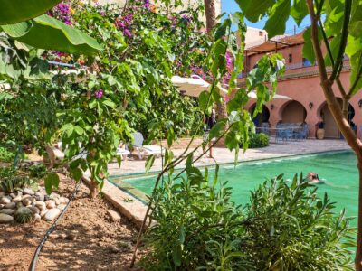 Riad Beldi avec piscine.