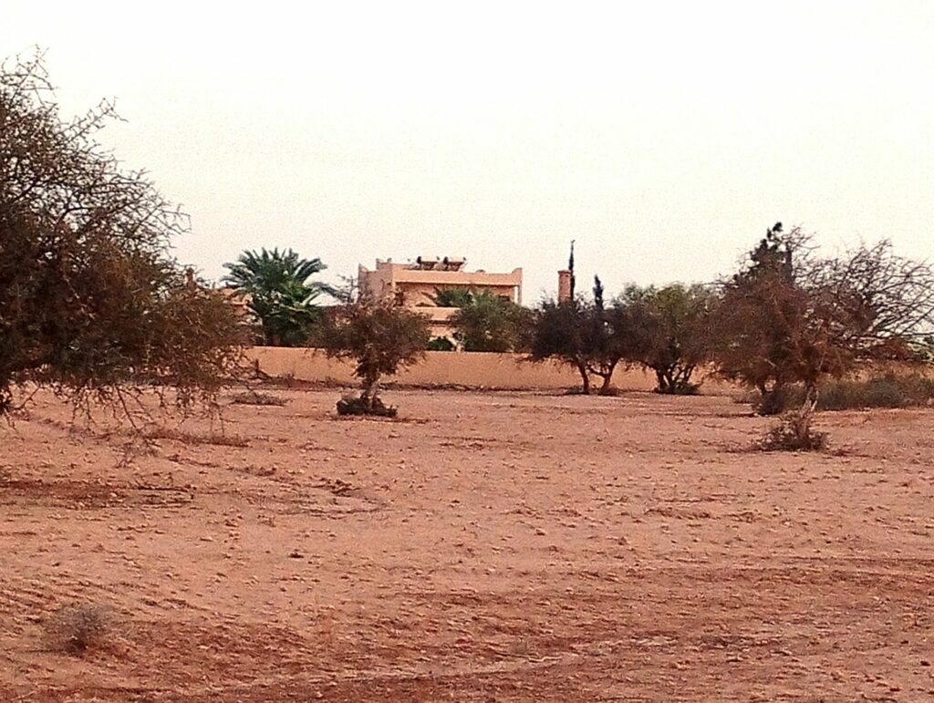 2Ha vue Panoramique sur le Haut Atlas. — photo 5
