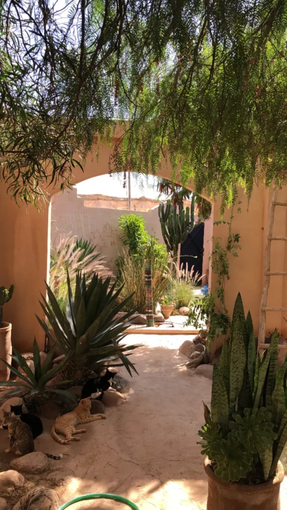 Riad de Jardin. — photo 2