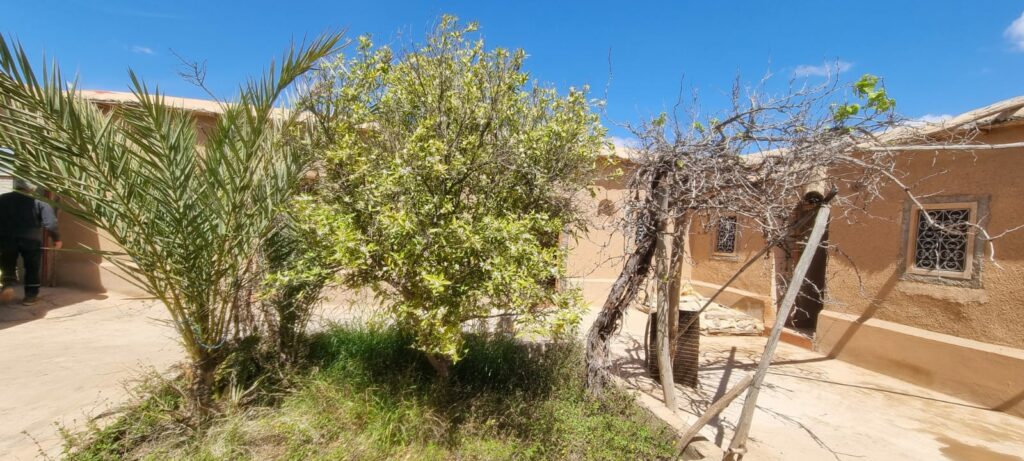 Riad de la belle vue. — photo 3