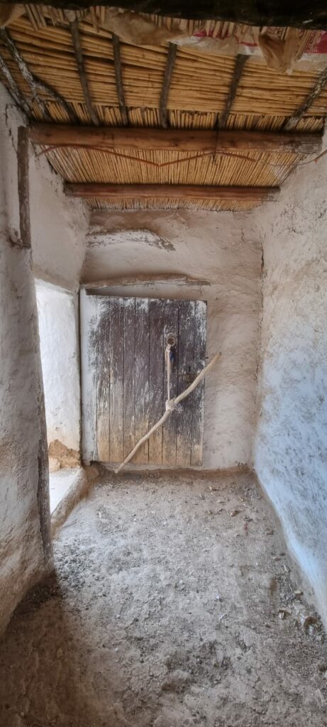 Riad de plus grande Arganier. — photo 4