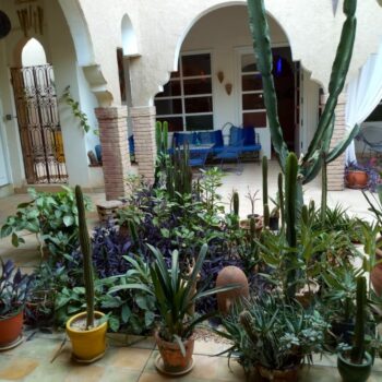 immobilier taroudant +212607783347 (2)
