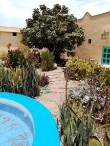 https://www.immotaroudant.com/bien/riad-dans-la-nature-2/