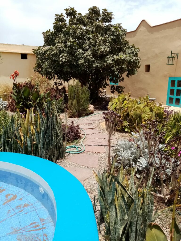 Riad dans La Nature. — photo 1