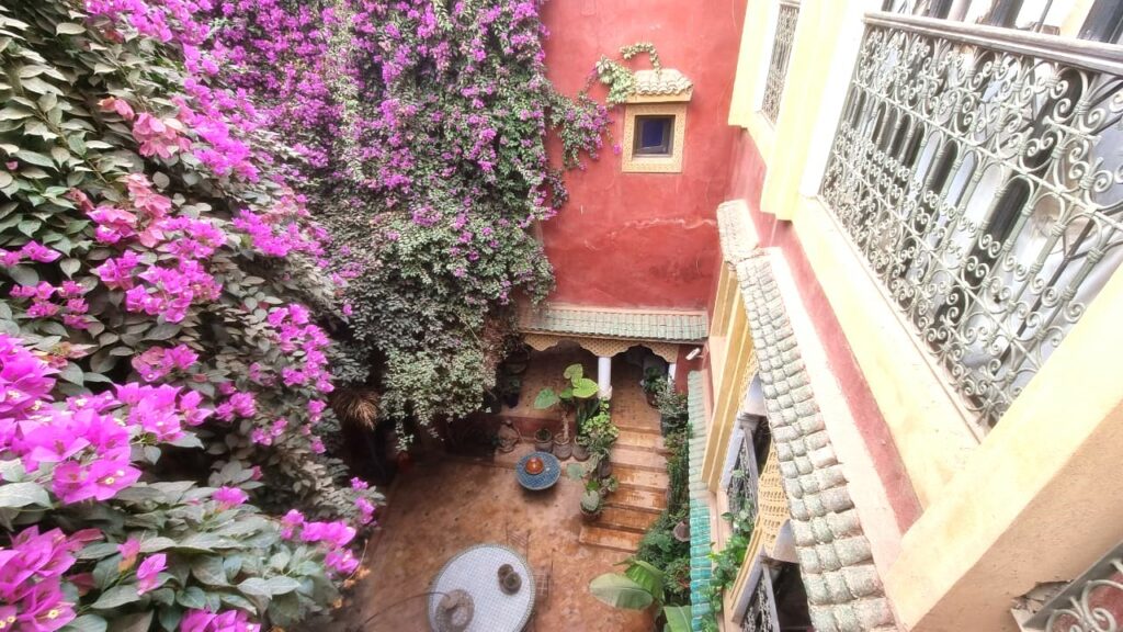 Riad du Bougainvillier — photo 1