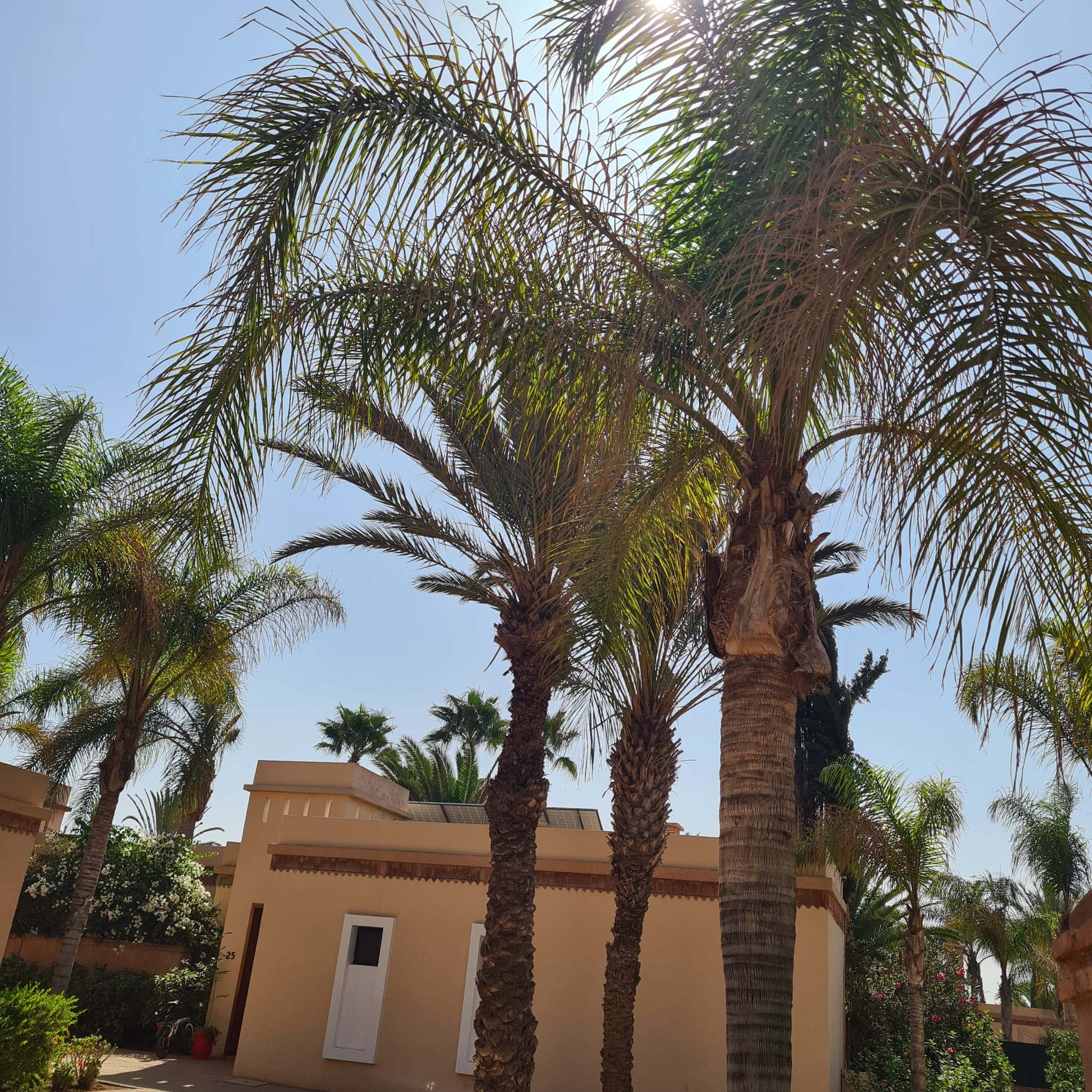 Villa de Soleil avec Jardin et Piscine