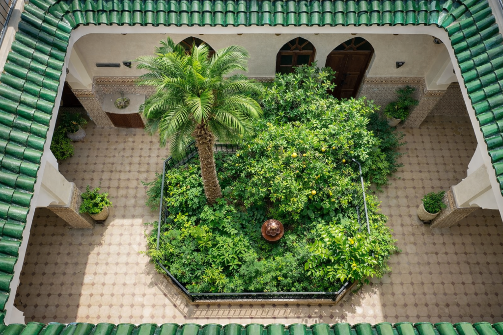 Une Oasis de calme — photo 1