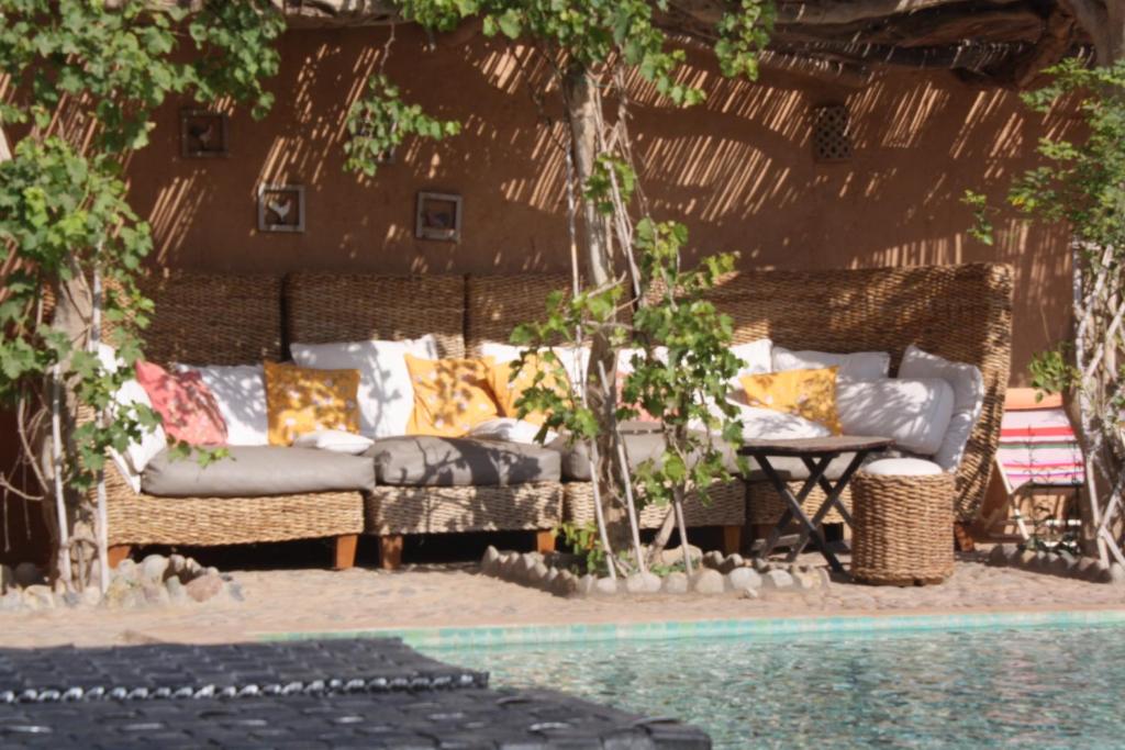 Riad Maison d’Hôtes à Vendre – 6 Chambres – Piscine – Région Agadir / Taroudant