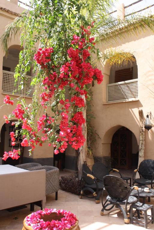 Riad Maison d’Hôtes à Vendre – 6 Chambres – Piscine – Région Agadir / Taroudant