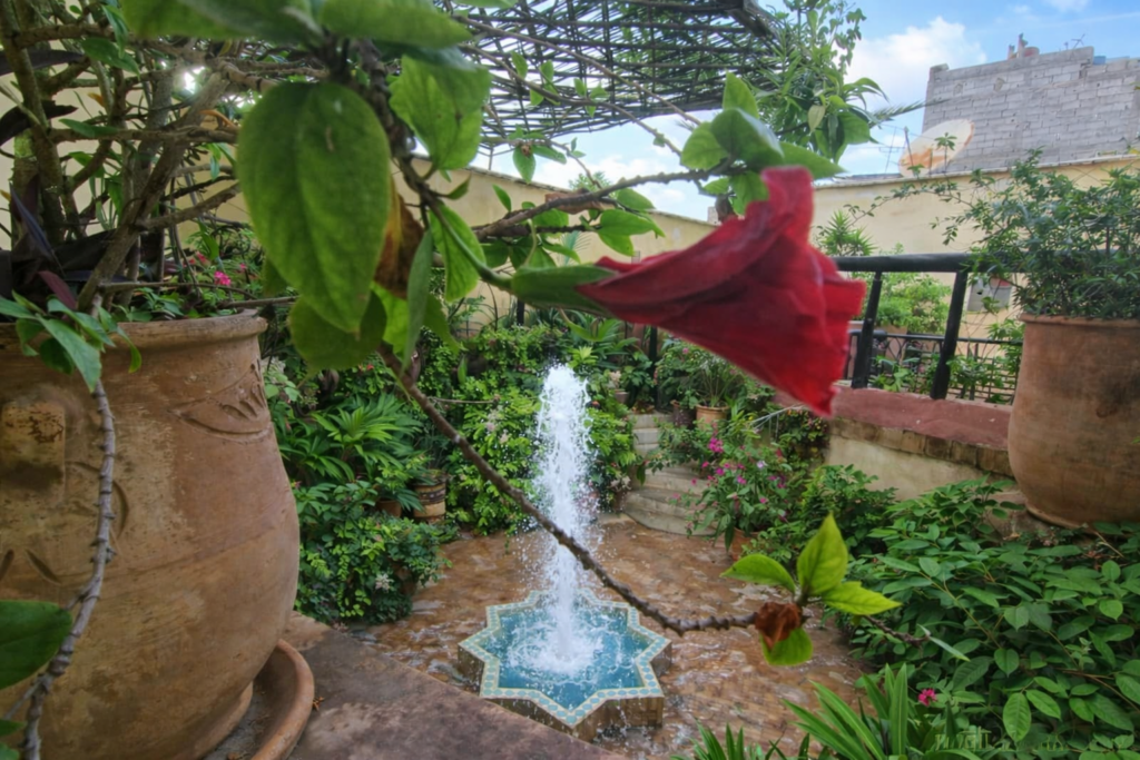 Riad de la Fontaine — photo 4