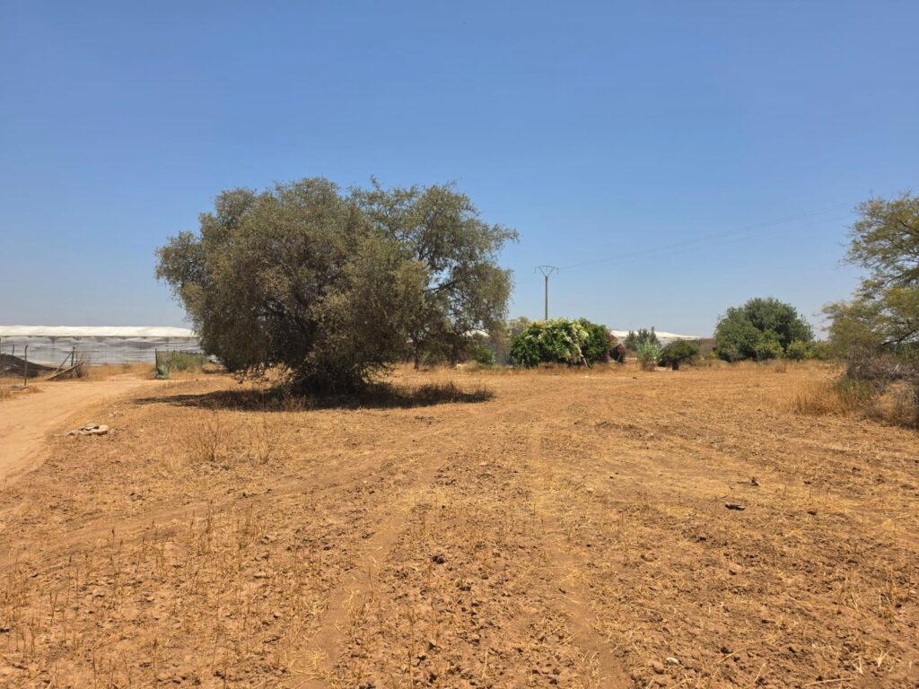 Terrain de 4 700 m² avec vue sur l’Atlas — photo 2