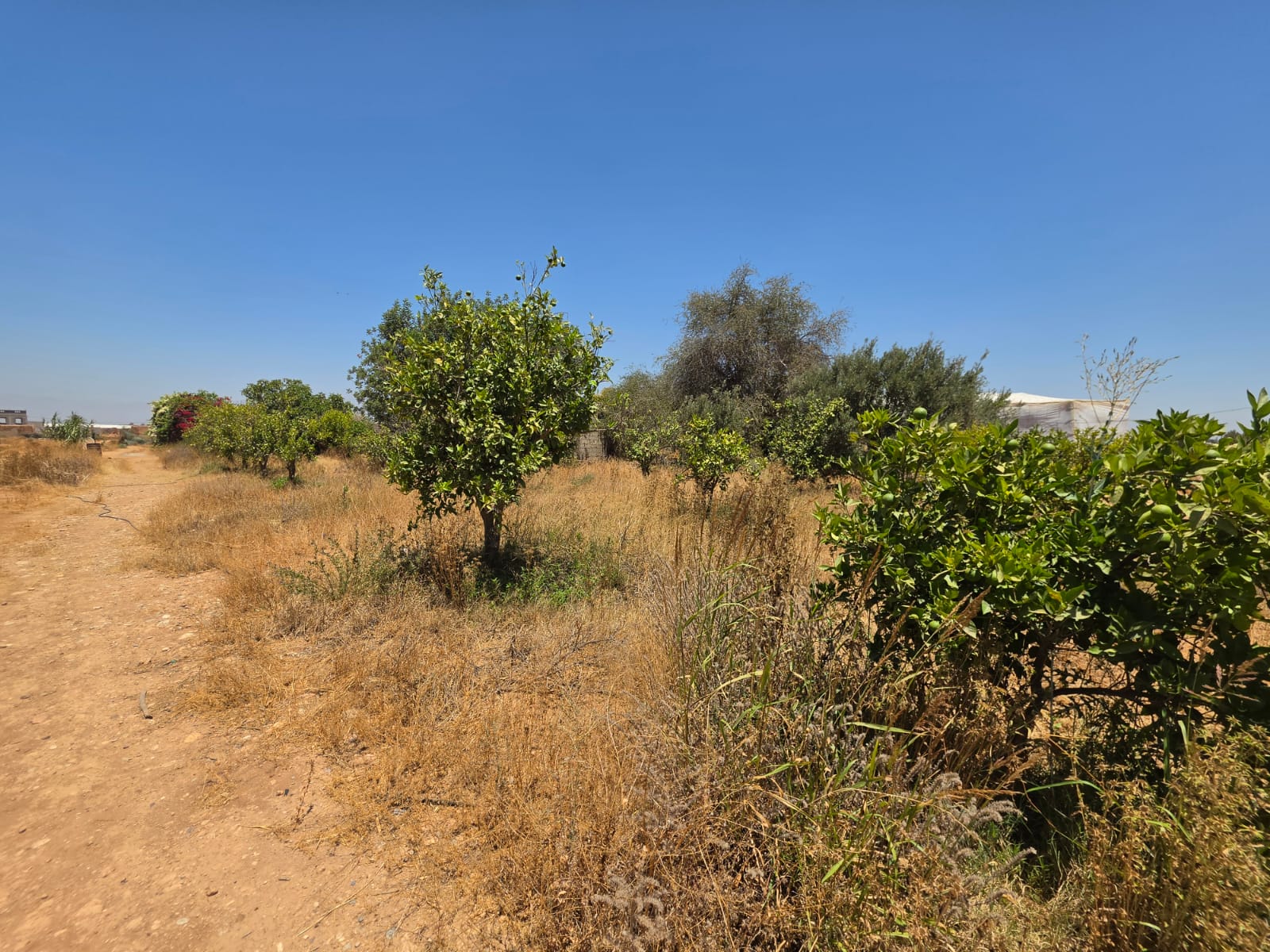 Terrain de 4 700 m² avec vue sur l’Atlas