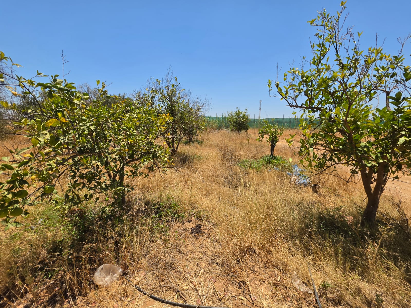 Terrain de 4 700 m² avec vue sur l’Atlas