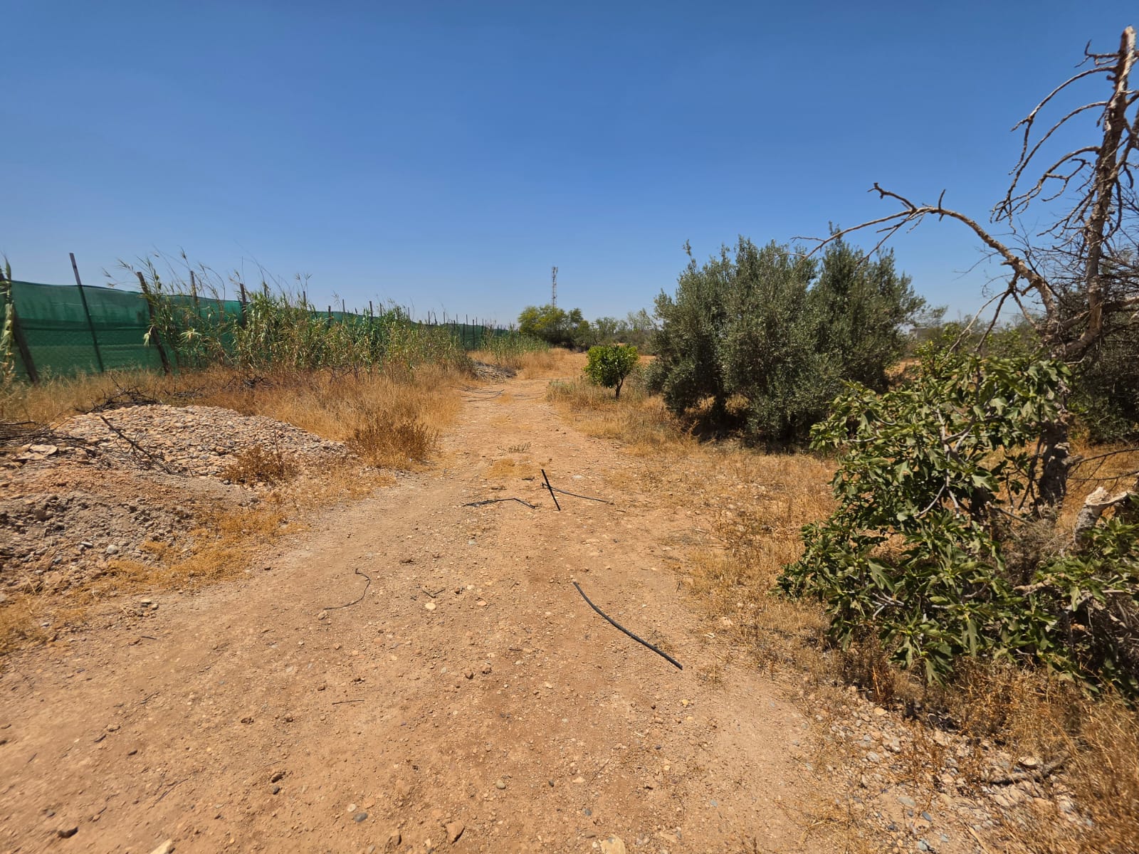 Terrain de 4 700 m² avec vue sur l’Atlas