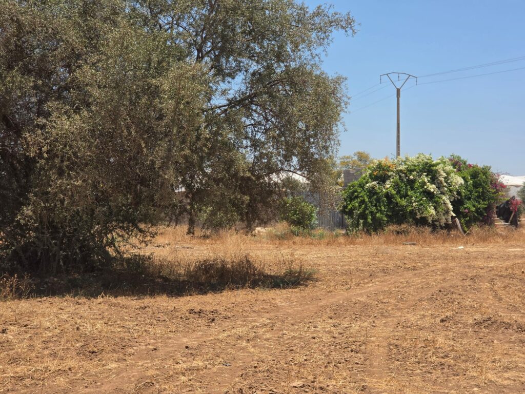 Terrain de 4 700 m² avec vue sur l’Atlas — photo 3