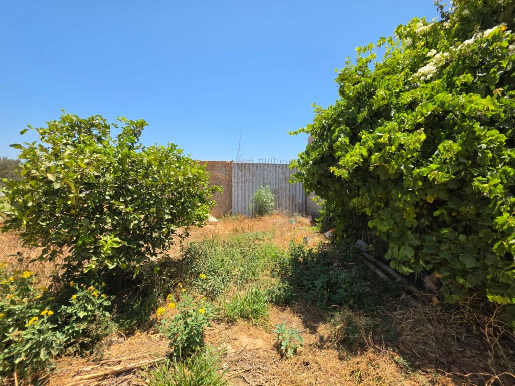 Terrain de 4 700 m² avec vue sur l’Atlas — photo 5