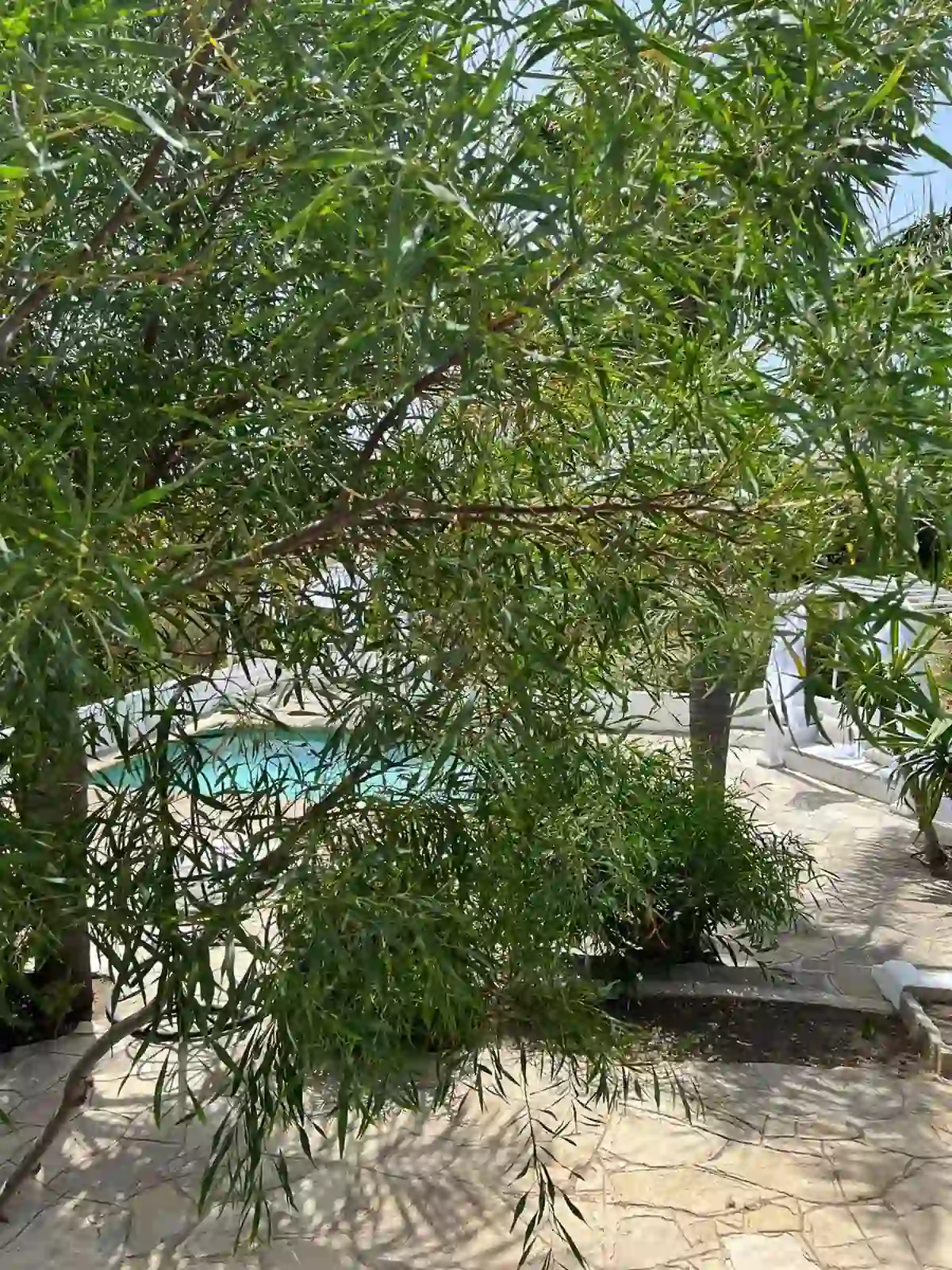 En location villa avec piscine à Tanger — photo 18 — réf. LV98PP
