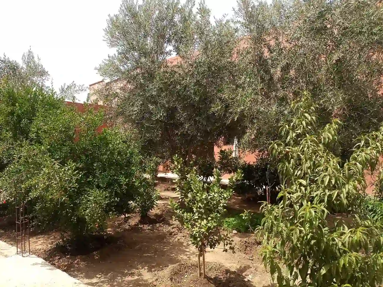 Maison avec jardin — Réf. V154N — photo 28 — réf. V154N