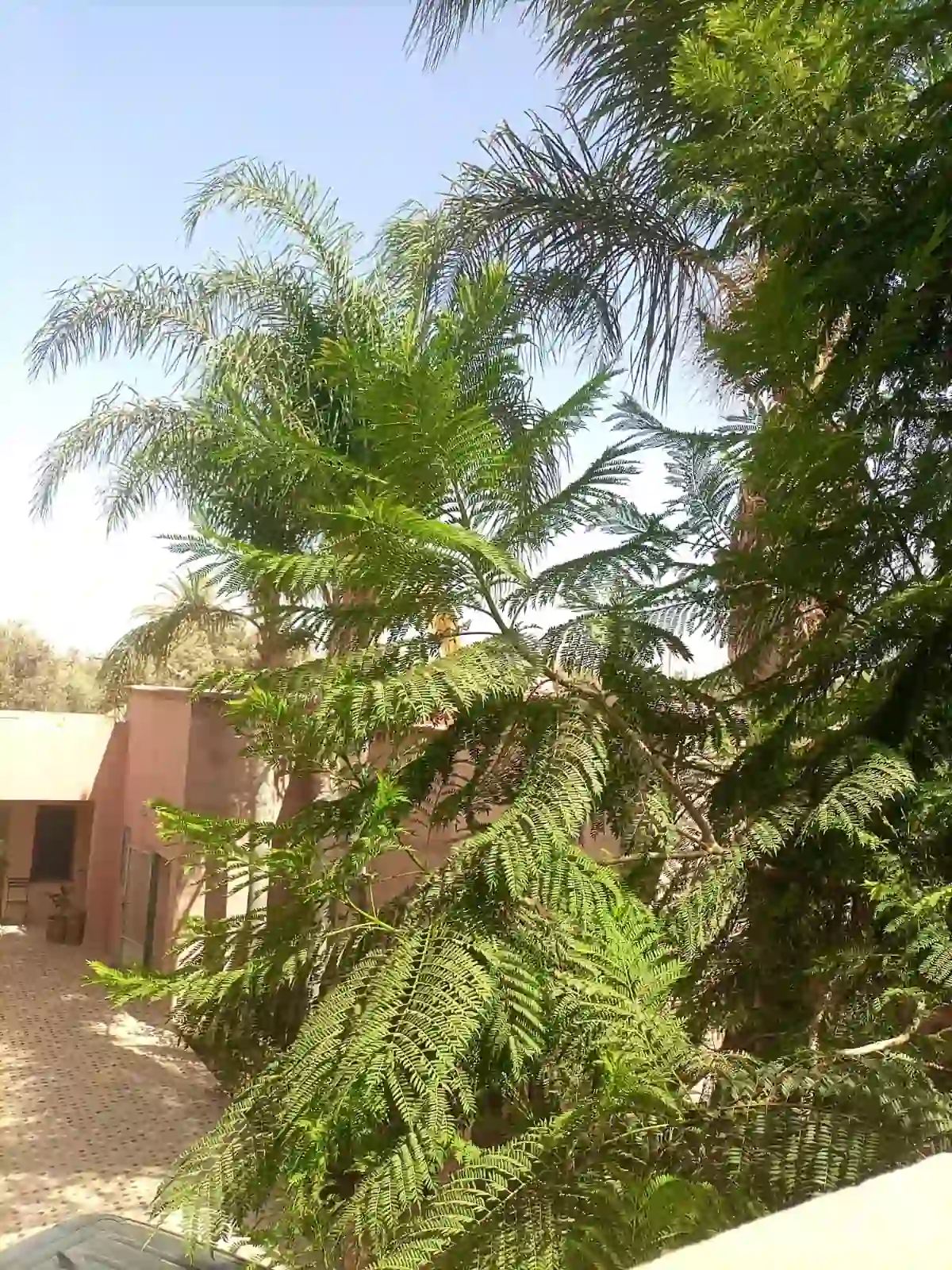 Riad du Charme avec piscine — photo 28 — réf. R89JJ77VAM1