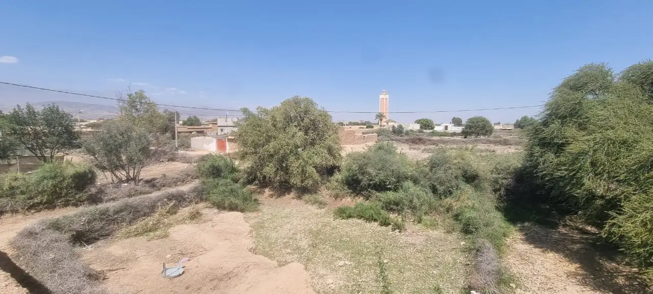 Riad de plus grande Arganier. — photo 15 — réf. M66VVOQ1