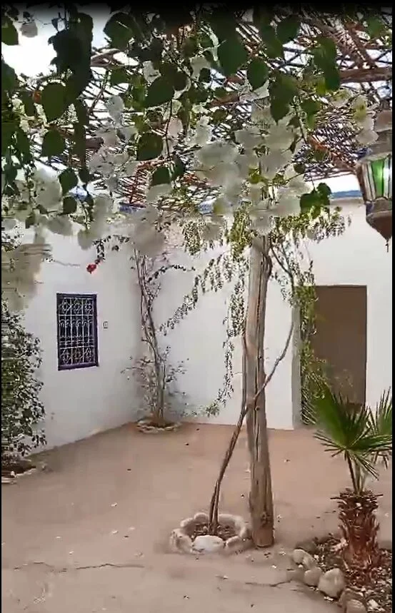 Riad de 10 Tortues. — photo 19 — réf. R55LM