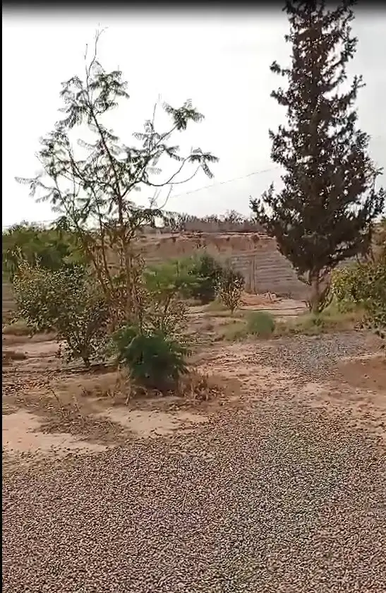 Riad de 10 Tortues. — photo 25 — réf. R55LM