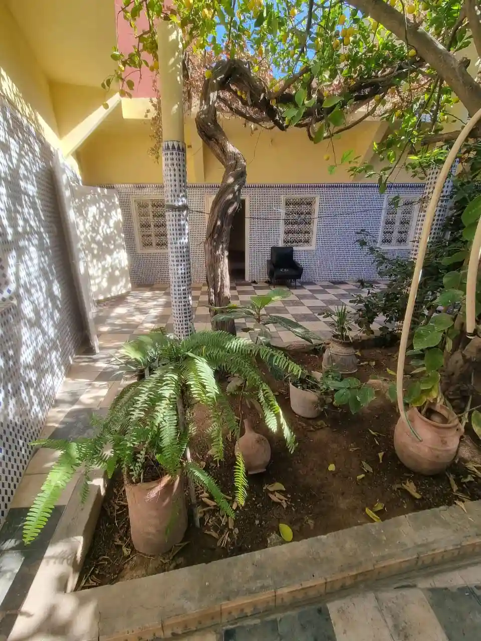 Riad Larssa Beldi. — photo 16 — réf. R66VV00JHA