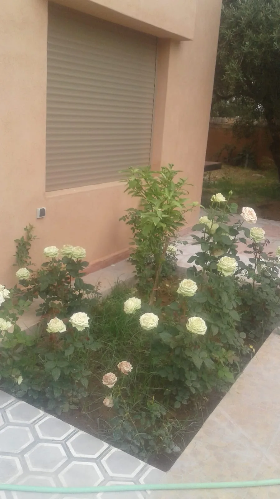 Belle villa avec piscine VS66E — photo 11 — réf. VS66E