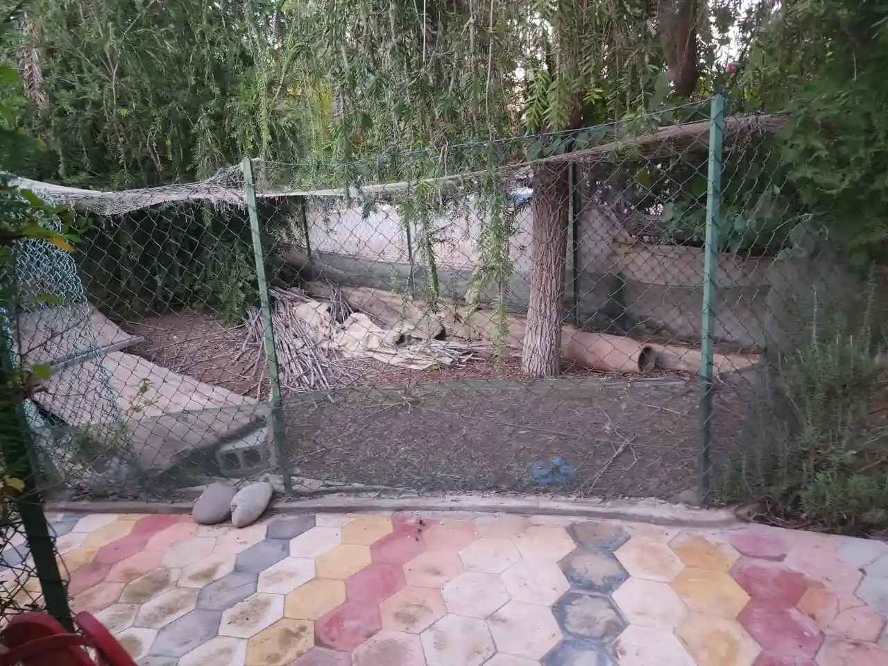 Riad de Bois de genévrier. — photo 21 — réf. R1144AAEX