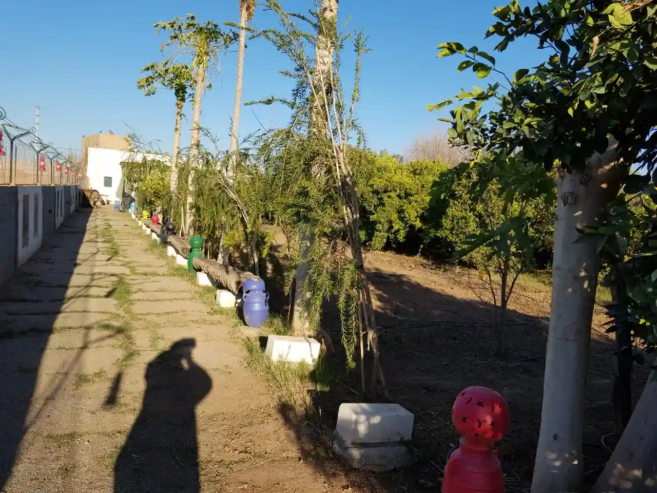 Riad de Bois de genévrier. — photo 30 — réf. R1144AAEX